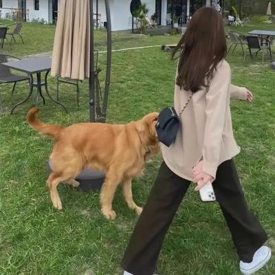 穷友记第四季